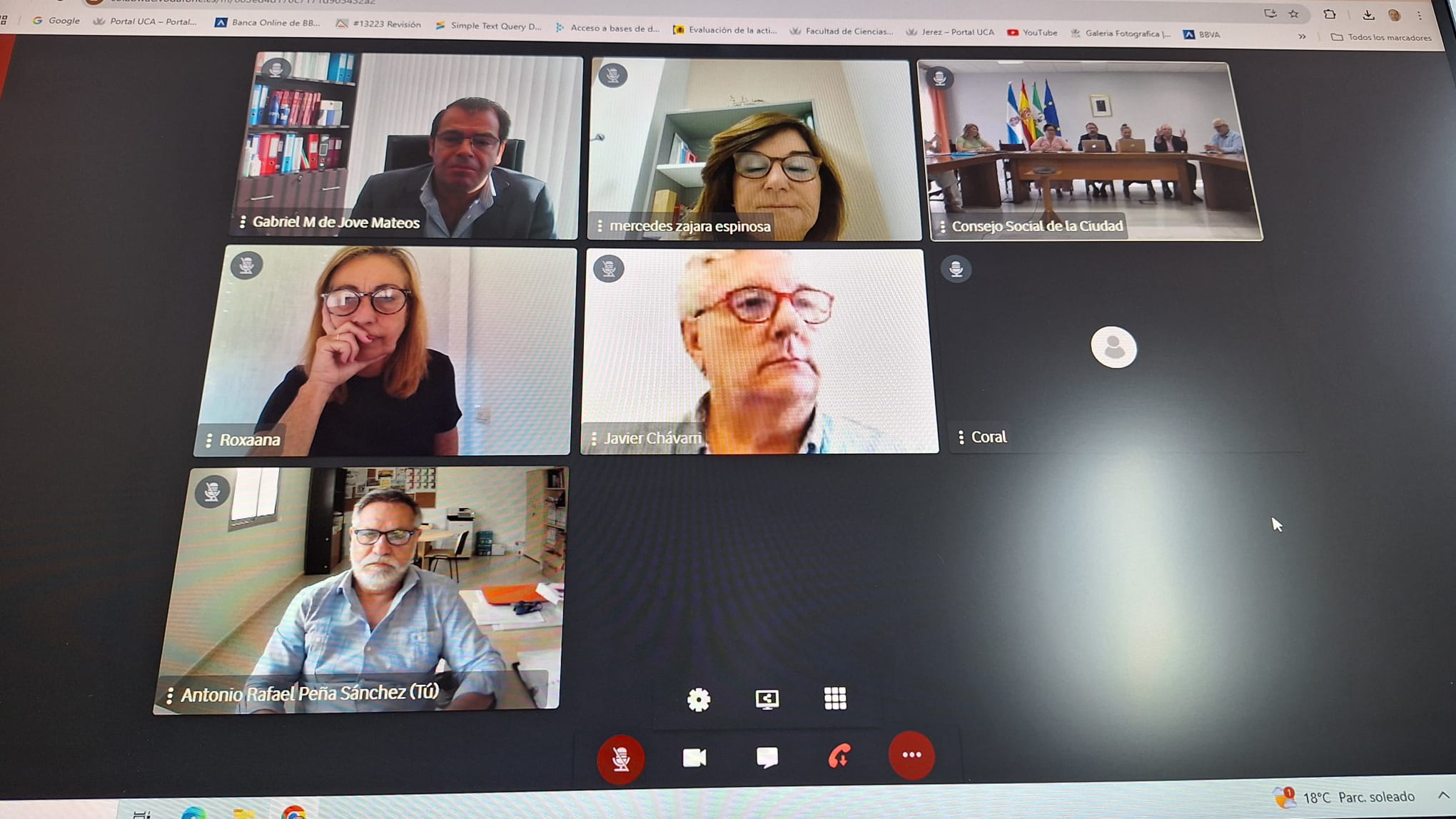 El Delegado del Rector para el Campus de Jerez participa por videoconferencia en el Pleno Extraor...